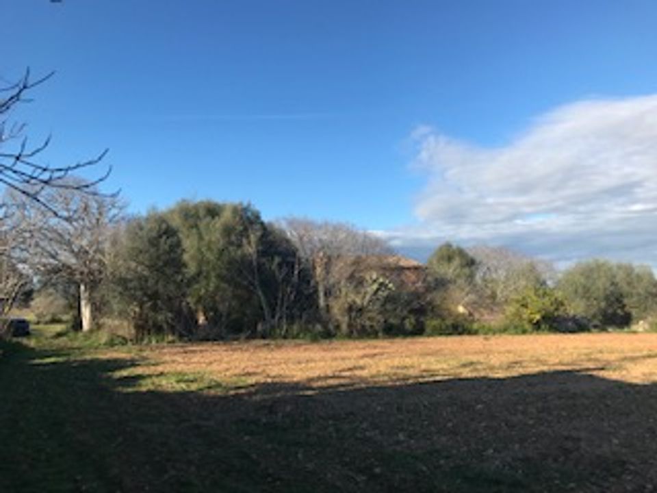 Helårsgrund i Felanitx, Mallorca - foto 2