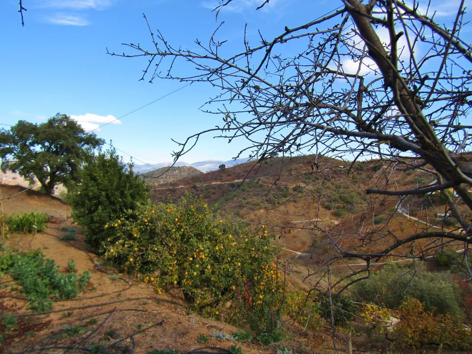 Landejendom i Comares, Malaga - foto 3