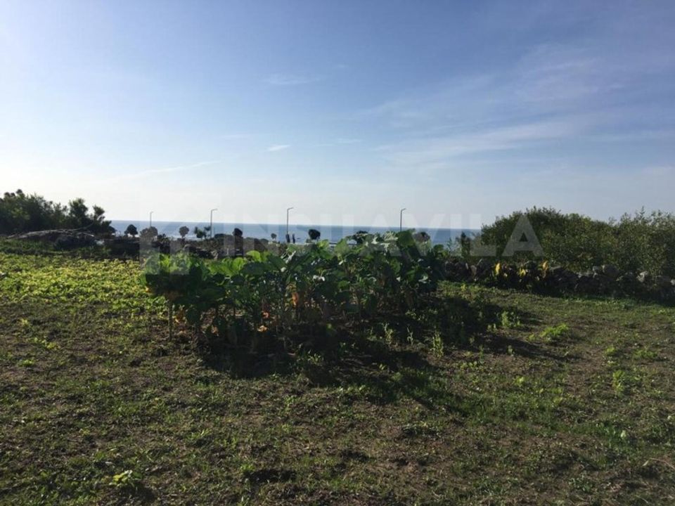 Helårsgrund i Vila Praia de Ancora, Viana do Castelo - foto 3