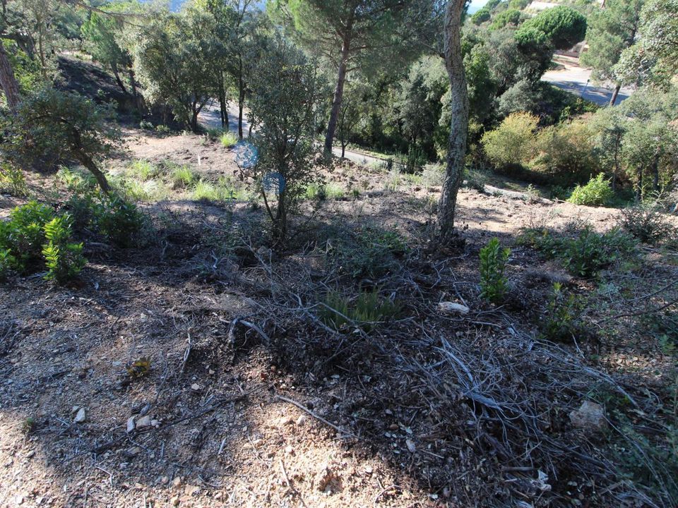 Helårsgrund i Lloret De Mar, Gerona - foto 3