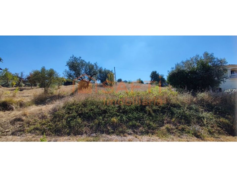 Helårsgrund i Pombal, Leiria - foto 4
