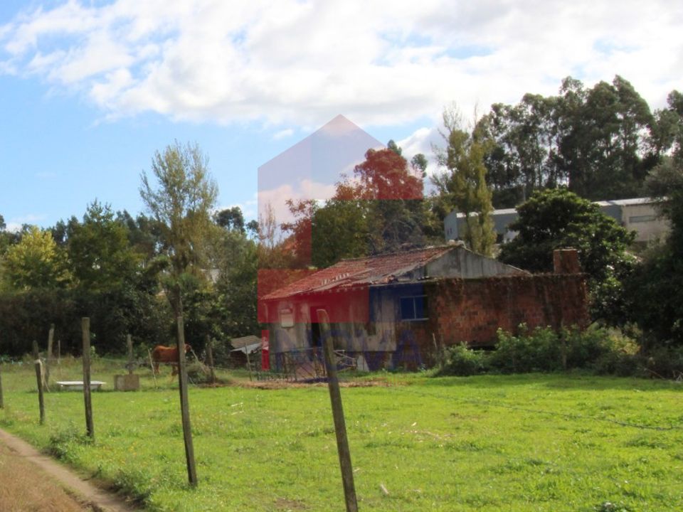 Farm i Vila Verde, Braga - foto 1