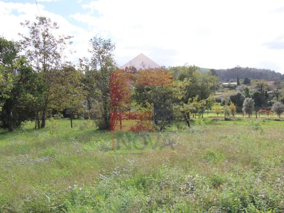 Farm i Vila Verde, Braga - foto 3