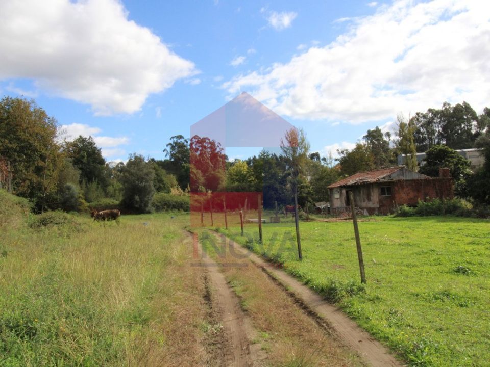 Farm i Vila Verde, Braga - foto 5