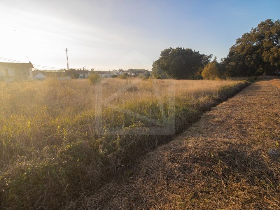 Helårsgrund i Oliveira de Azemeis, Aveiro - foto 2