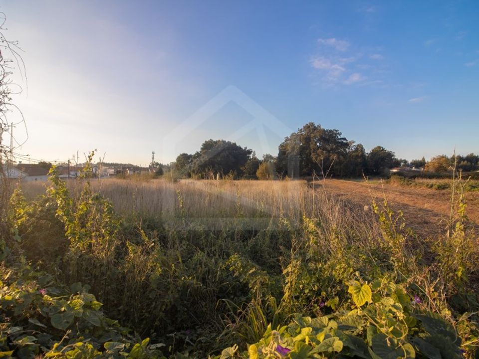 Helårsgrund i Oliveira de Azemeis, Aveiro - foto 4