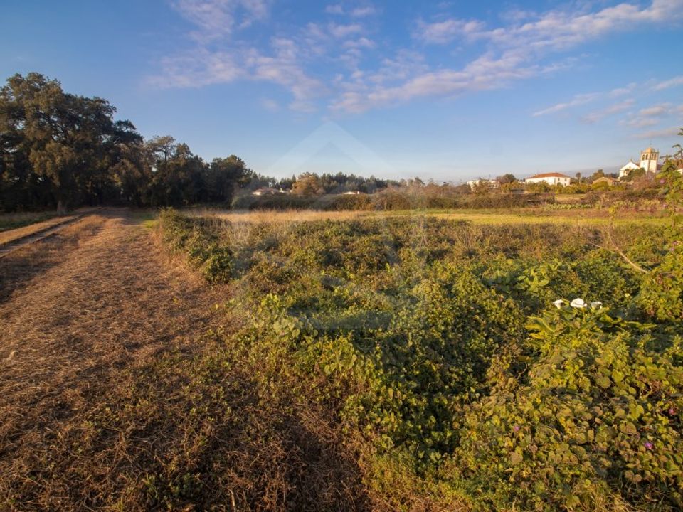Helårsgrund i Oliveira de Azemeis, Aveiro - foto 4