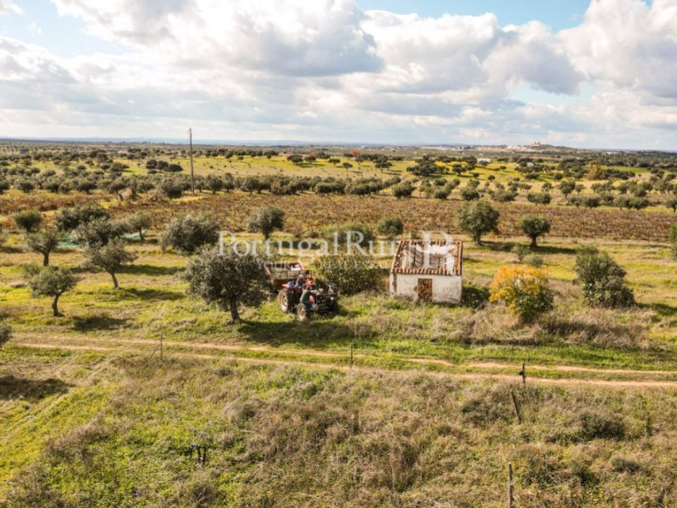 Helårsgrund i Mourao, Evora - foto 3