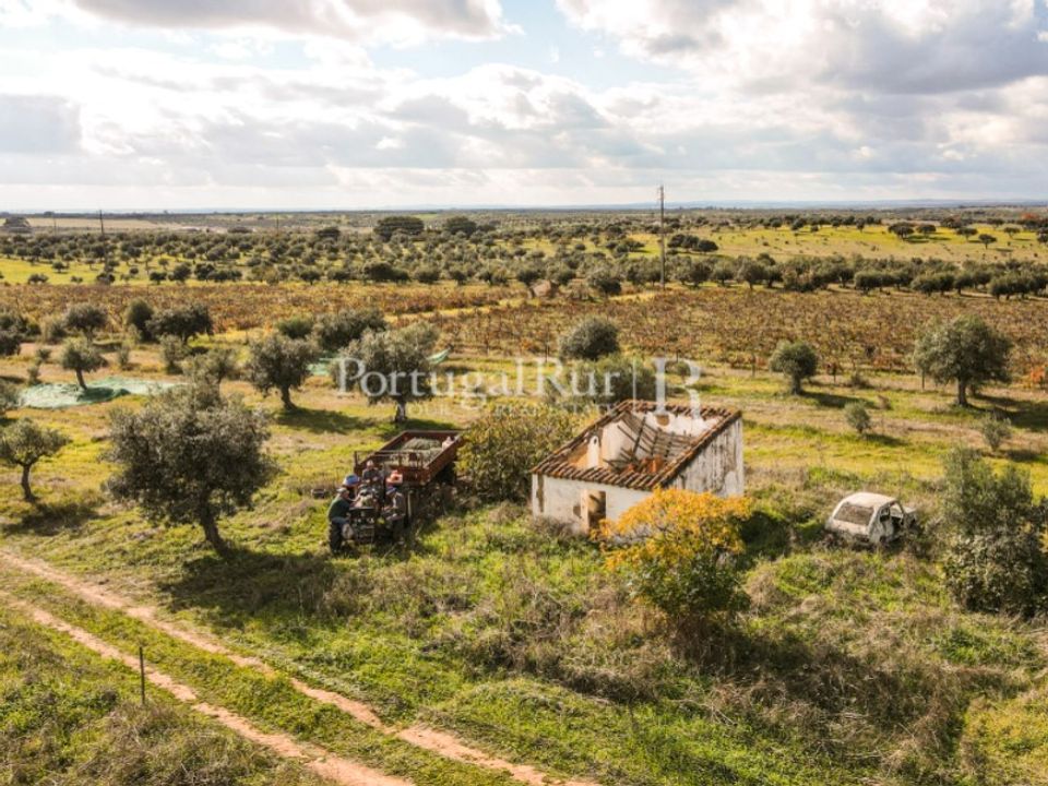 Helårsgrund i Mourao, Evora - foto 4