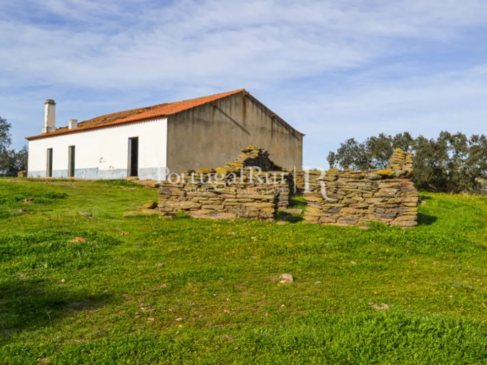 Landejendom i Reguengos de Monsaraz, Evora - foto 3