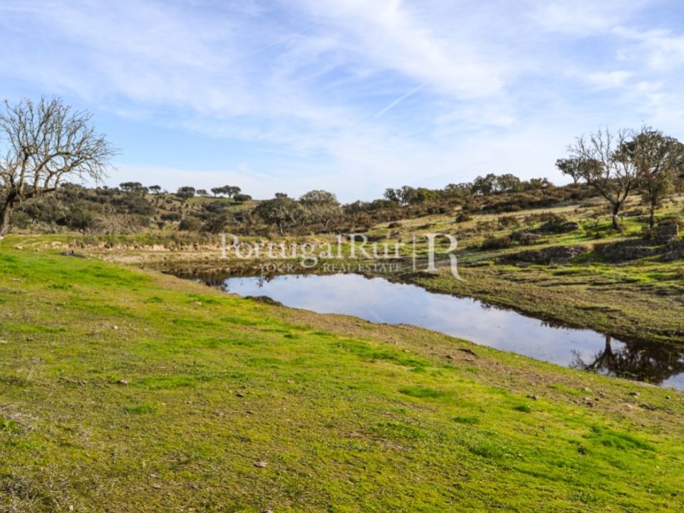 Landejendom i Reguengos de Monsaraz, Evora - foto 4