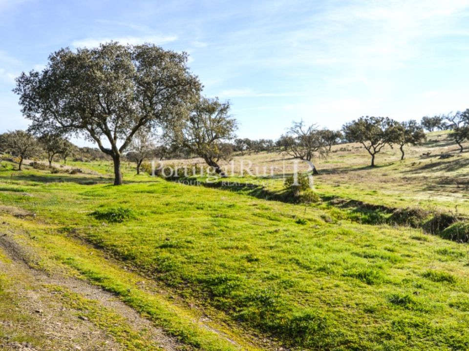 Landejendom i Reguengos de Monsaraz, Evora - foto 5