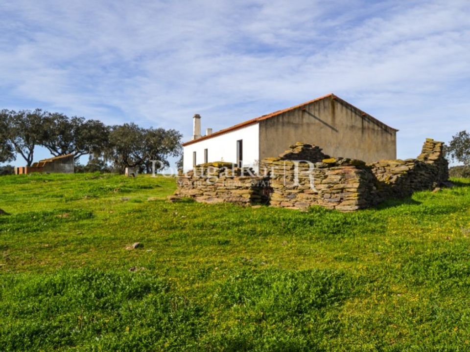 Landejendom i Reguengos de Monsaraz, Evora - foto 1