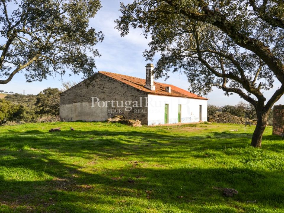 Landejendom i Reguengos de Monsaraz, Evora - foto 2