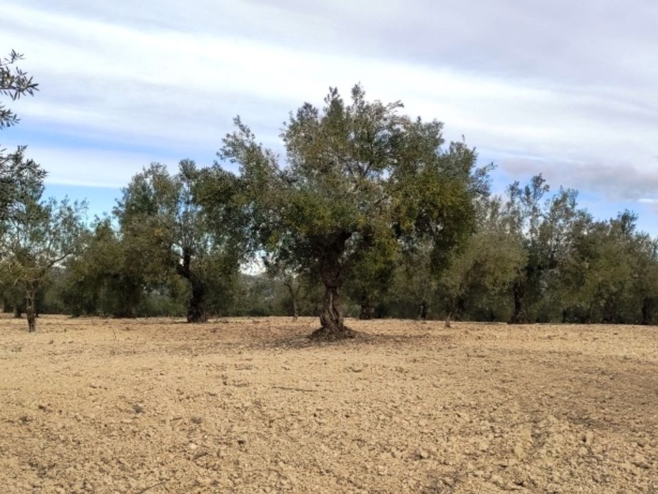Helårsgrund i Penaguila, Alicante - foto 1
