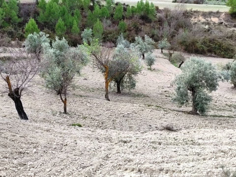 Helårsgrund i Penaguila, Alicante - foto 5