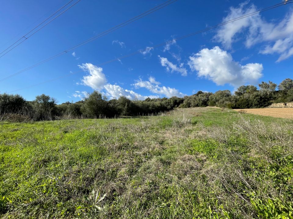 Terra a Muro, Mallorca - foto 4