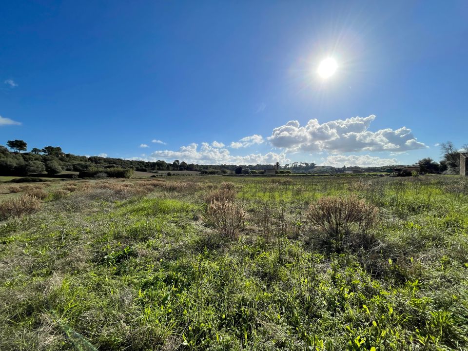 Terra a Muro, Mallorca - foto 5