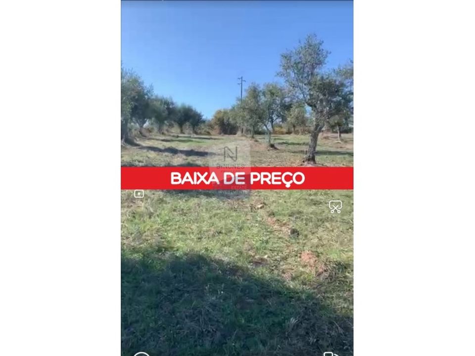 Helårsgrund i Nisa, Portalegre - foto 1
