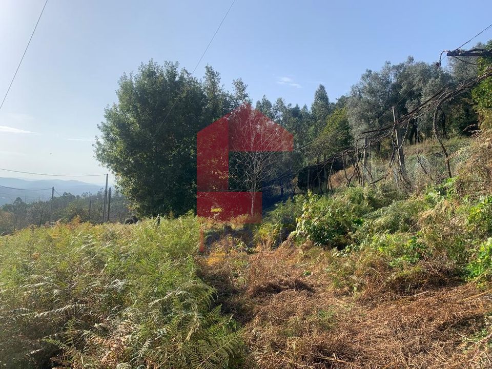 Helårsgrund i Vila Verde, Braga - foto 5