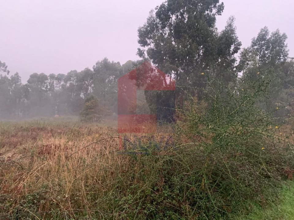 Helårsgrund i Povoa de Lanhoso, Braga - foto 4
