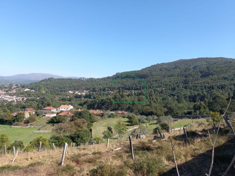 Farm i Vila Praia de Ancora, Viana do Castelo - foto 2
