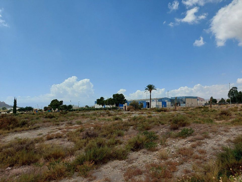 Helårsgrund i Tabernas, Almeria - foto 5