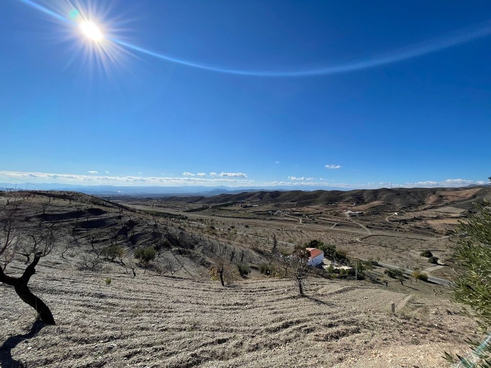 Helårsgrund i Huercal-Overa, Almeria - foto 1