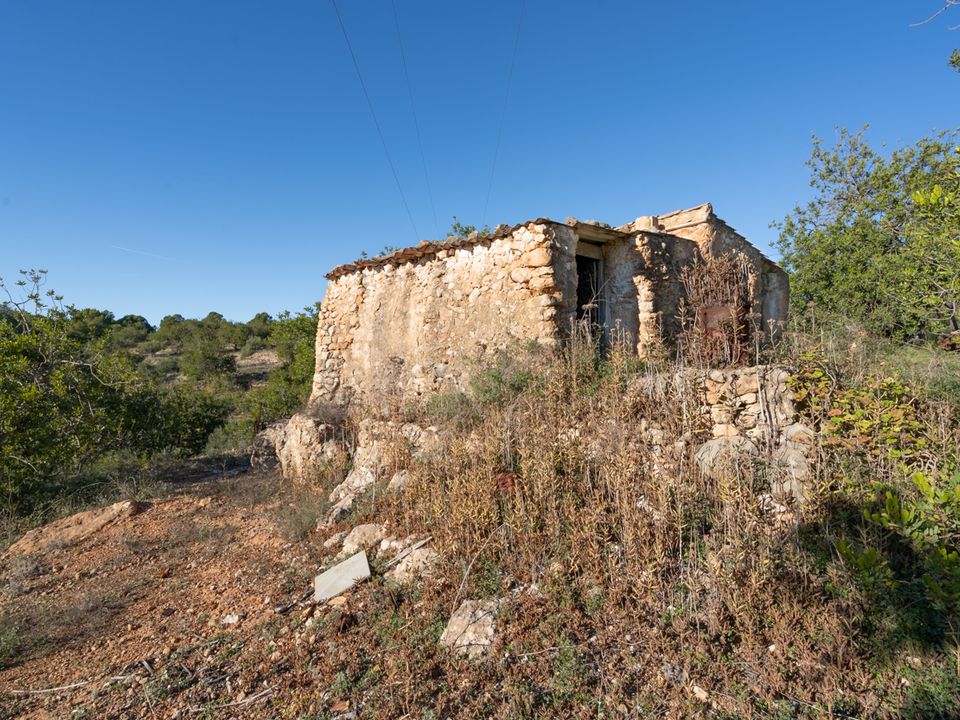 Finca i Tortosa, Tarragona - foto 5