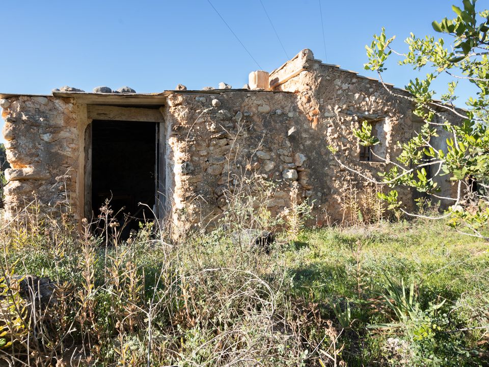 Finca i Tortosa, Tarragona - foto 3
