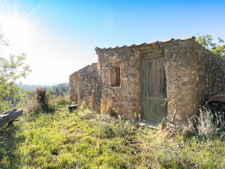 Finca i Tortosa, Tarragona - foto 1