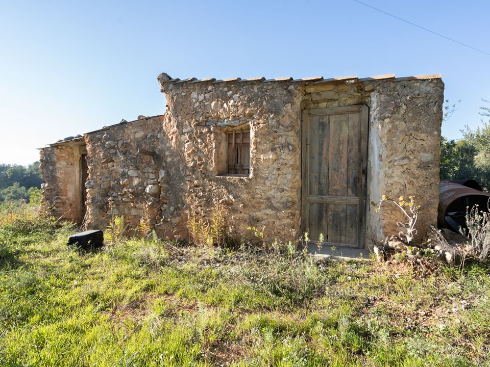 Finca i Tortosa, Tarragona - foto 2
