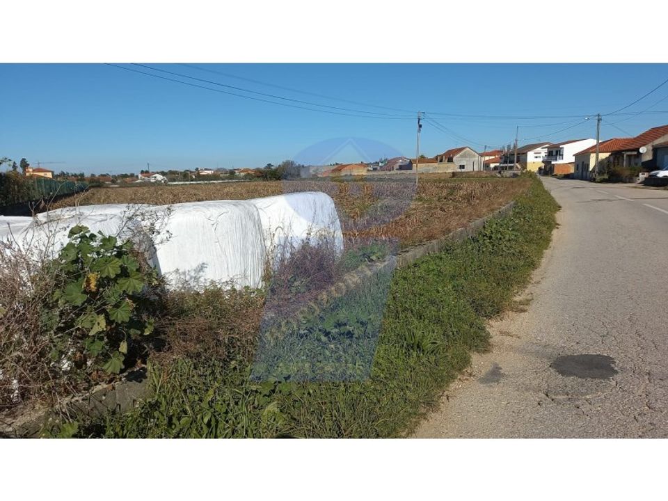 Tomt i Oia, Aveiro - bilde 5