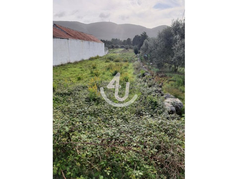 Helårsgrund i Aljubarrota, Leiria - foto 1