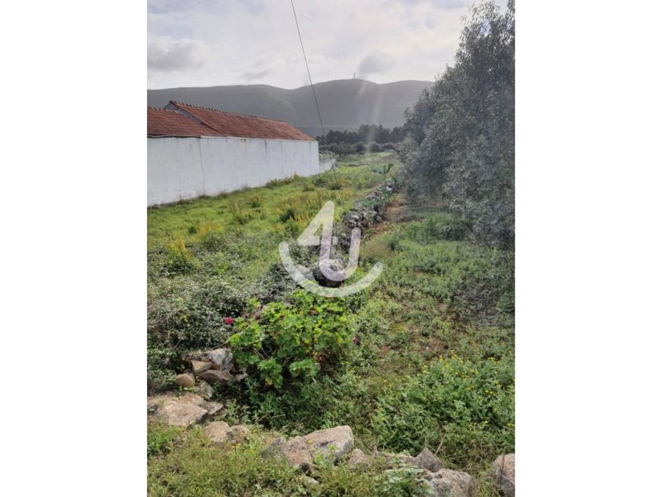 Helårsgrund i Aljubarrota, Leiria - foto 2