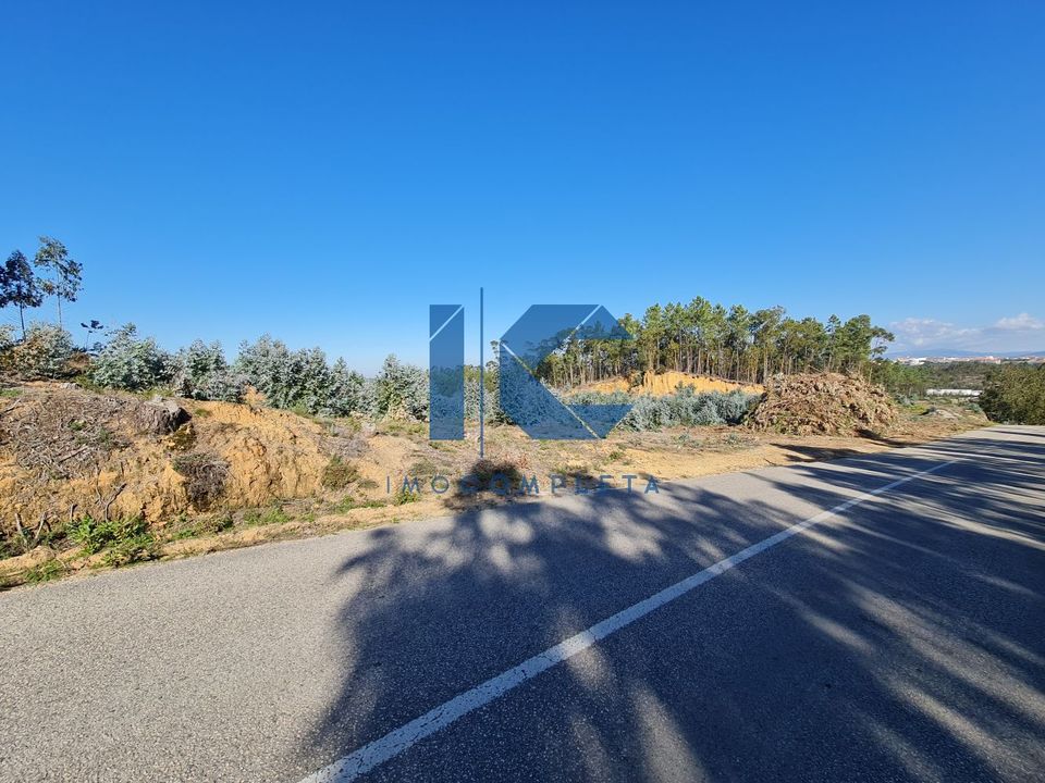 Helårsgrund i Oliveira do Bairro, Aveiro - foto 1