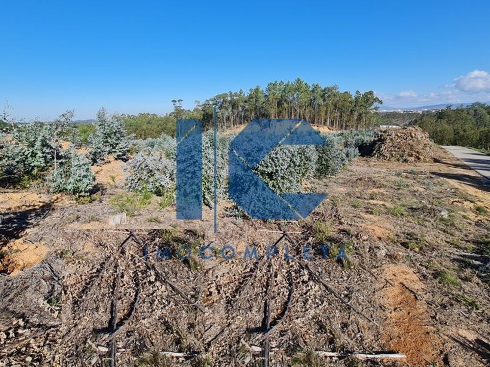 Helårsgrund i Oliveira do Bairro, Aveiro - foto 2