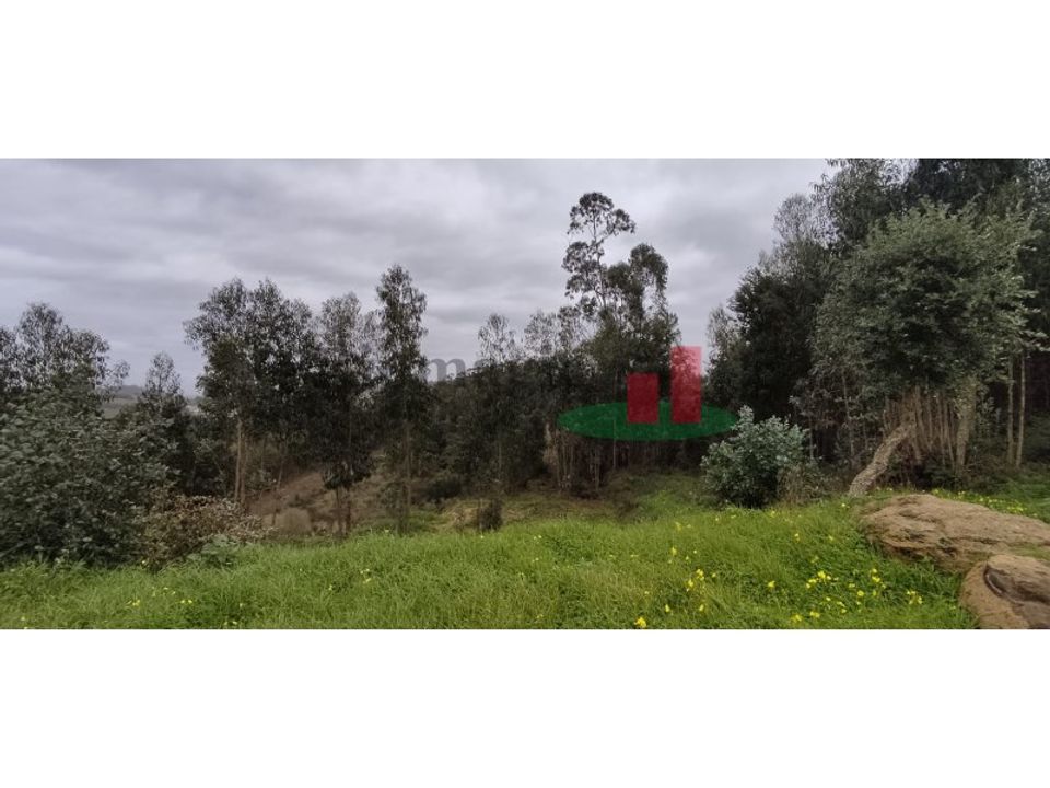 Helårsgrund i Caldas da Rainha, Leiria - foto 5