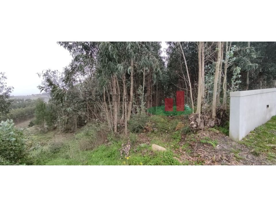 Helårsgrund i Caldas da Rainha, Leiria - foto 3