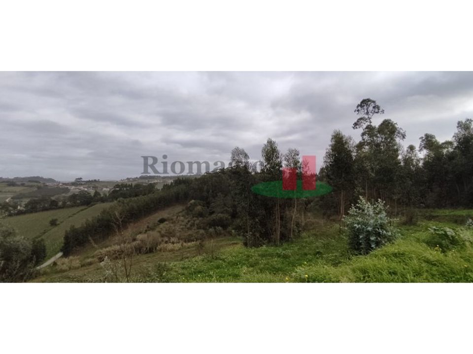 Helårsgrund i Caldas da Rainha, Leiria - foto 2