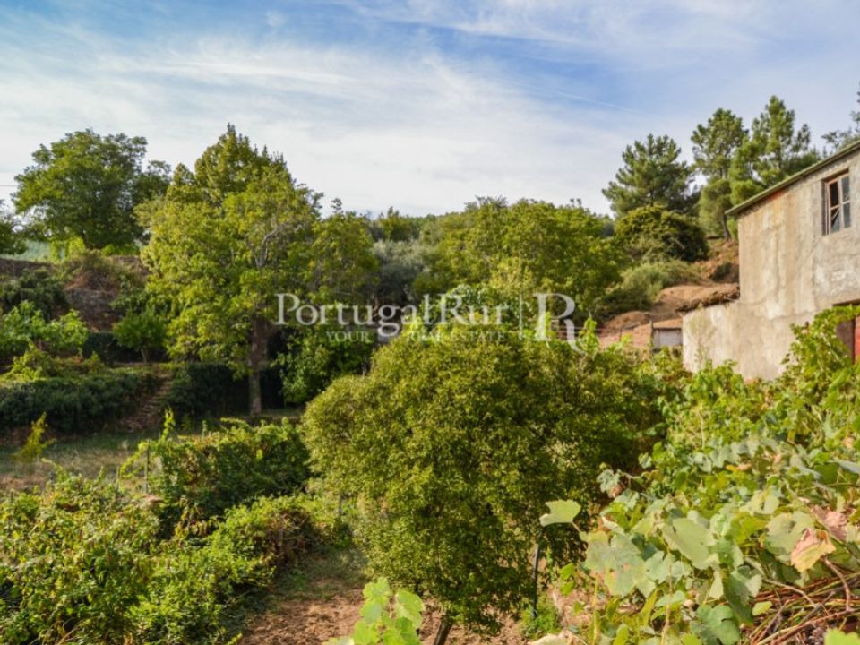 Farm i Covilha, Castelo Branco - foto 1