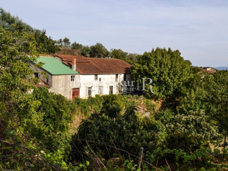 Farm i Covilha, Castelo Branco - foto 2