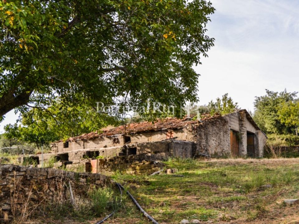 Farm i Covilha, Castelo Branco - foto 5