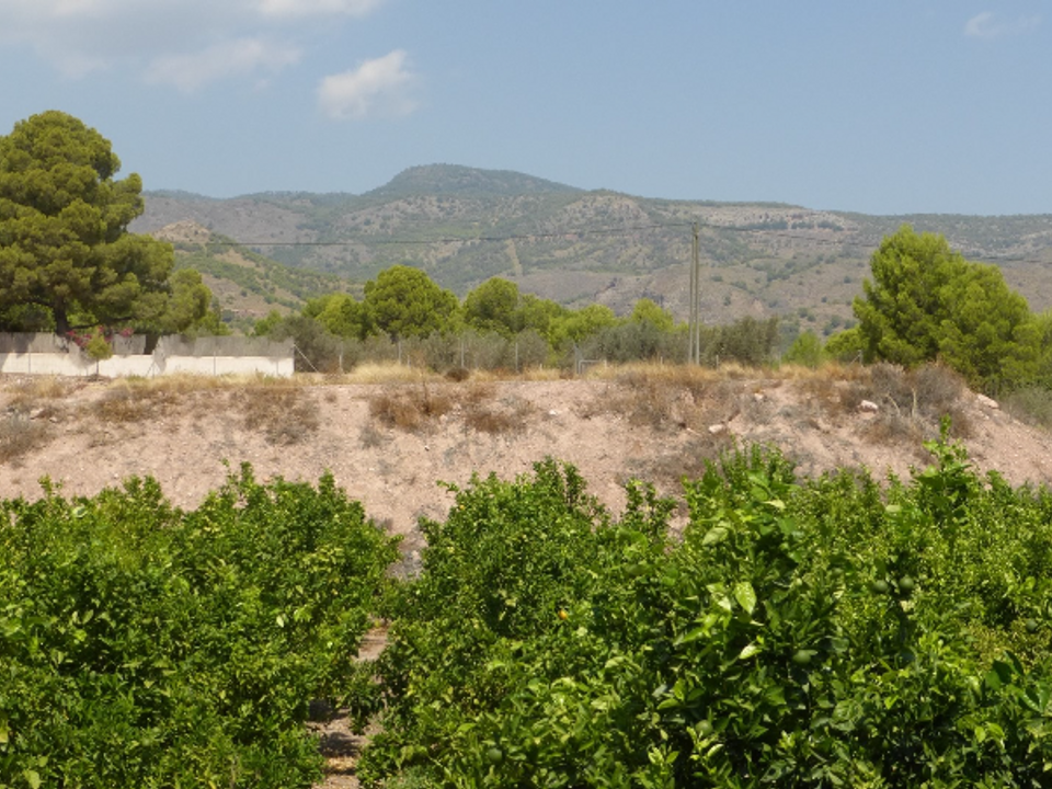 Finca i Totana, Murcia - foto 5