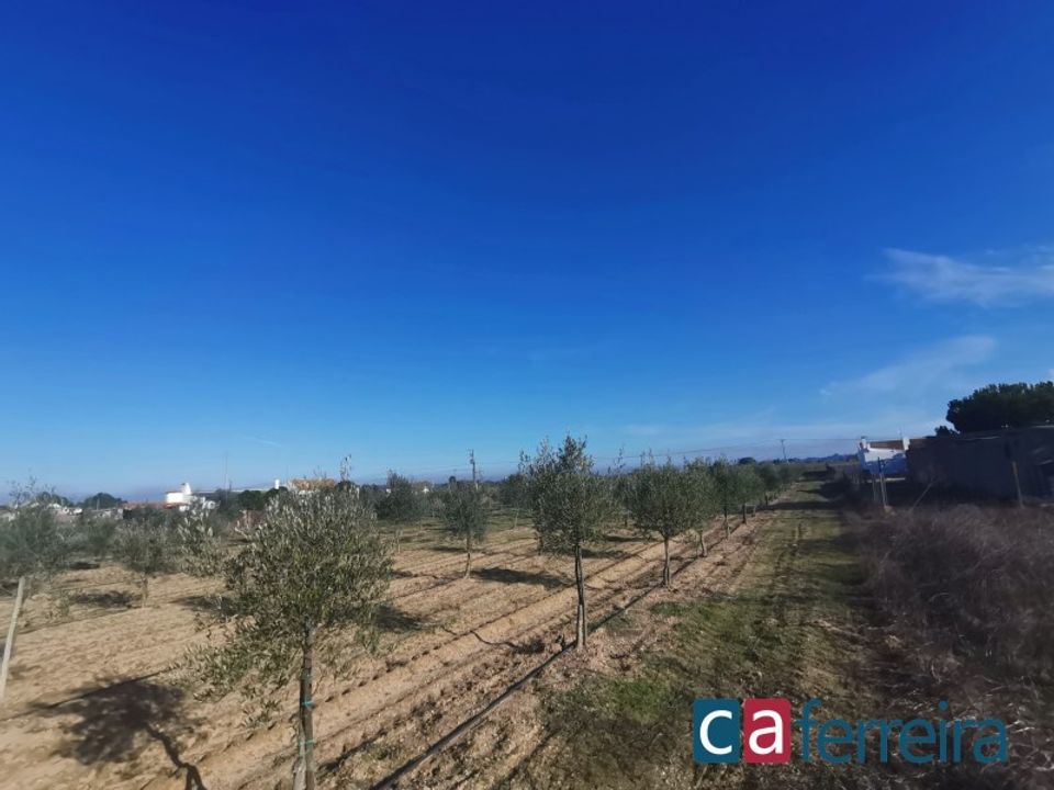 Helårsgrund i Benfica do Ribatejo, Santarem - foto 1