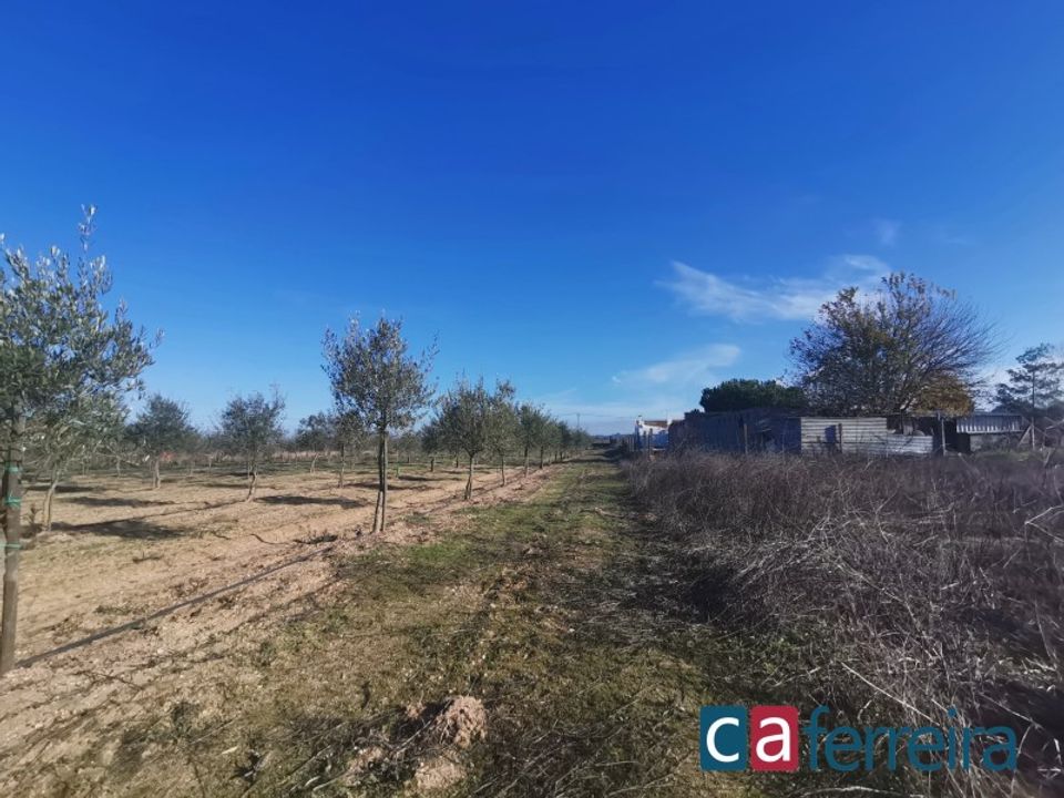 Helårsgrund i Benfica do Ribatejo, Santarem - foto 3