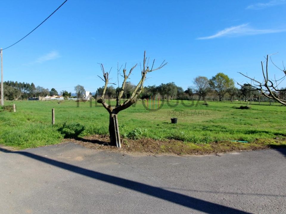 Helårsgrund i Agueda, Aveiro - foto 2