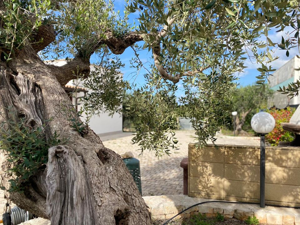 Villa i Cisternino, Brindisi - foto 4