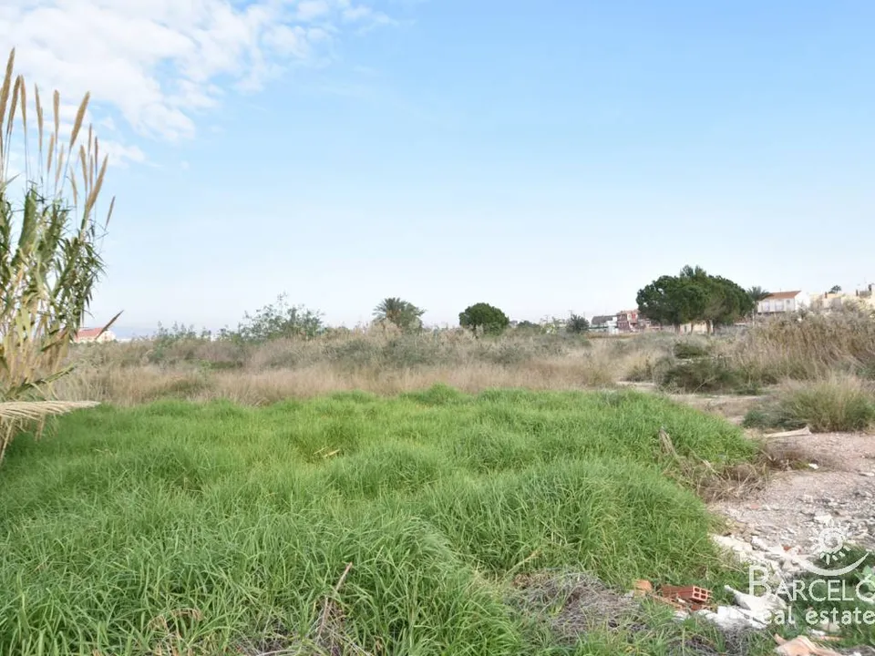 Tomt i Catral, Alicante - bilde 2