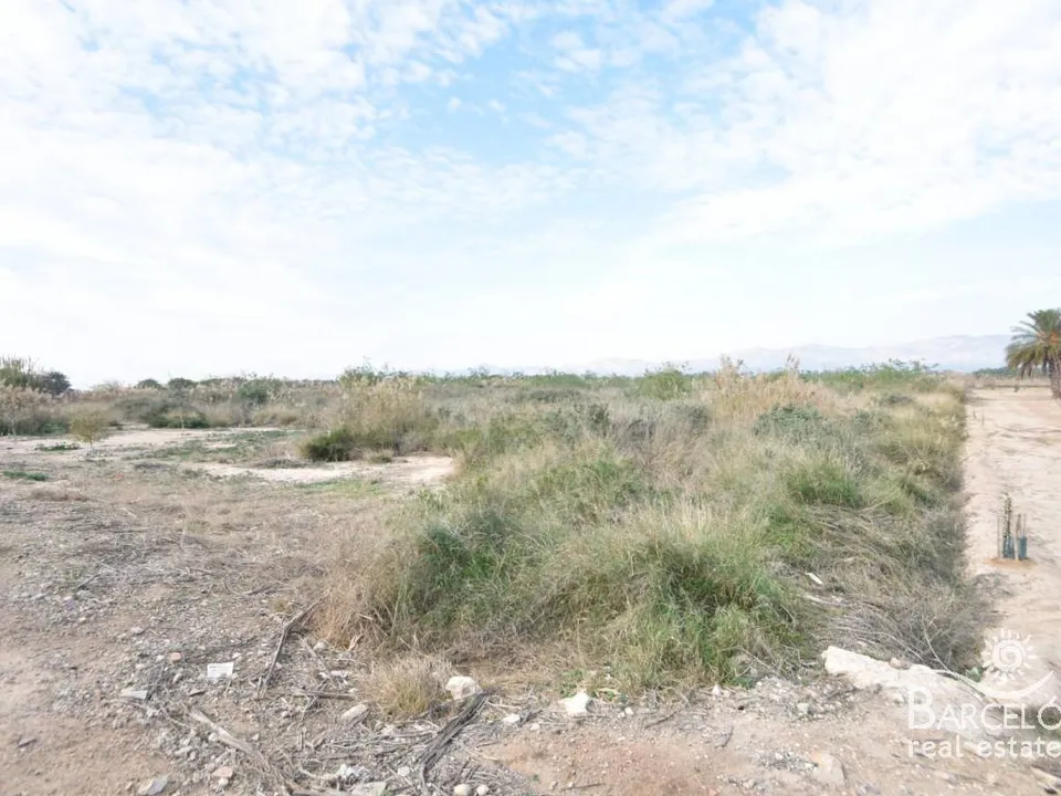 Tomt i Catral, Alicante - bilde 3